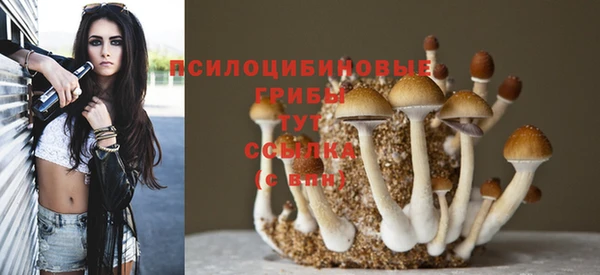 молекула духа Абинск