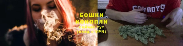 бошки Няндома